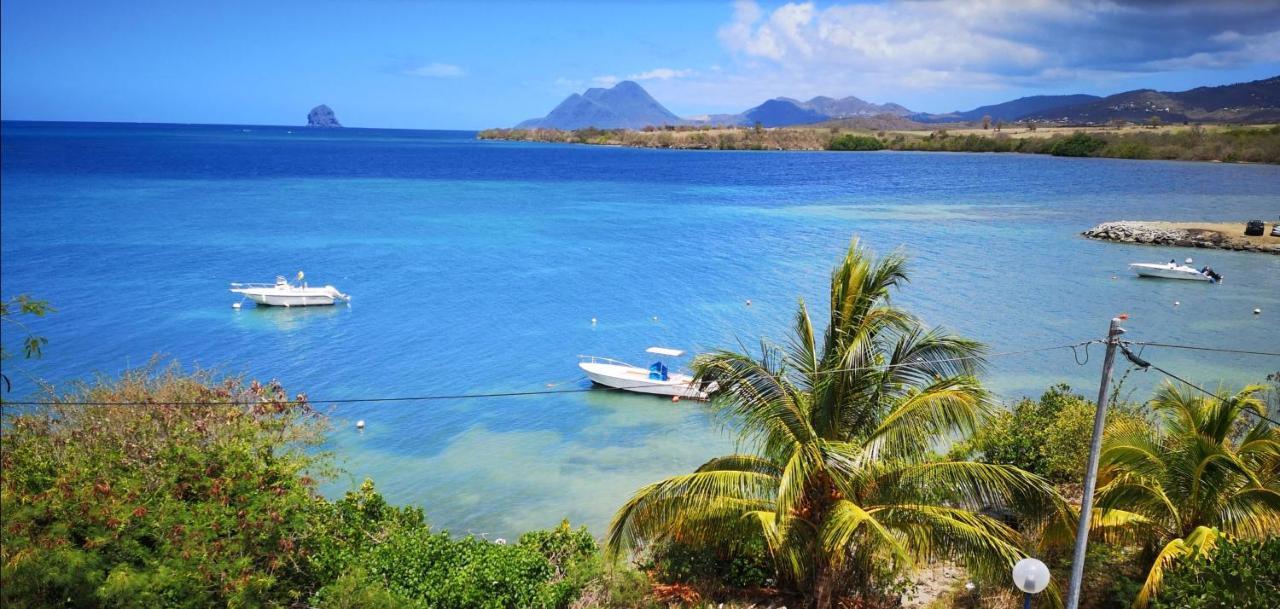 T2 Les Pieds Dans L'Eau Face A La Mer Des Caraibes Sainte Luce - Trois Rivieres Экстерьер фото