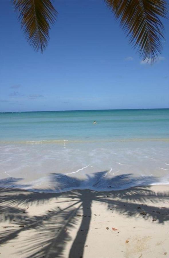 T2 Les Pieds Dans L'Eau Face A La Mer Des Caraibes Sainte Luce - Trois Rivieres Экстерьер фото