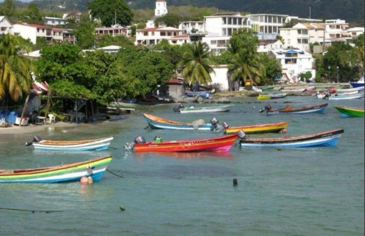 T2 Les Pieds Dans L'Eau Face A La Mer Des Caraibes Sainte Luce - Trois Rivieres Экстерьер фото